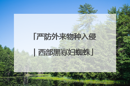 严防外来物种入侵｜西部黑寡妇蜘蛛